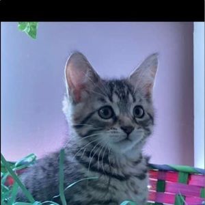 Meet your Posher, Janessa